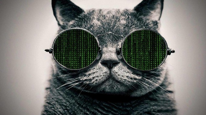 2025年，笔记软件又如何选择?